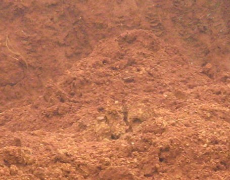 T10yrnXfFcXXalSgrX_085249.jpg T10yrnXfFcXXalSgrX_085249.jpg